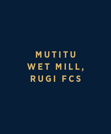 Mutitu Wet Mill (Rugi FCS)