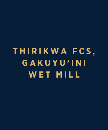 Thirikwa FCS – Gakuyu’ini Wet Mill