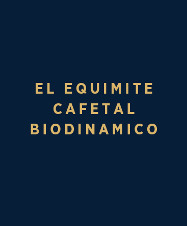 El Equimite Cafetal Biodinamico