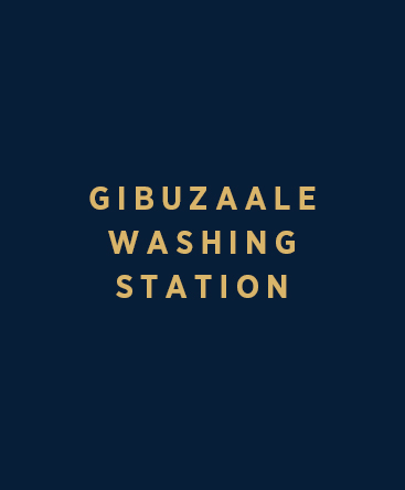 Gibuzaale Washing Station