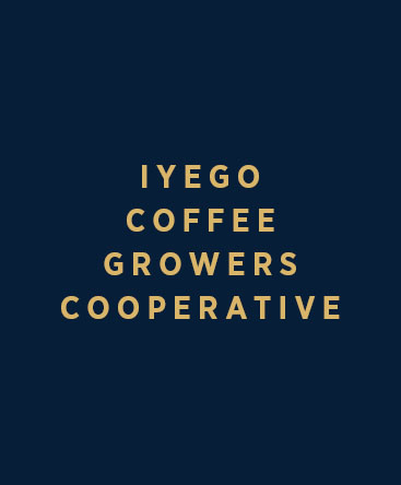 Iyego Coffee Growers Cooperative