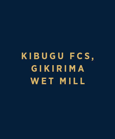Kibugu FCS – Gikirima Wet Mill
