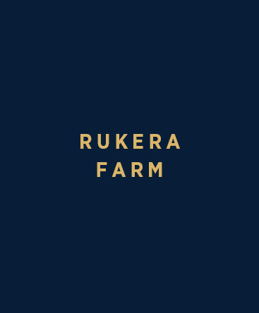 Coffee Research Institute – Rukera Farm