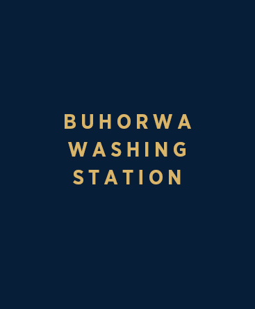 Buhorwa Washing Station