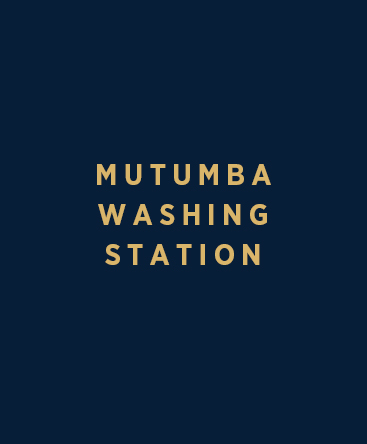 Mutumba Washing Station