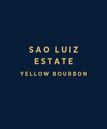 Sao Luiz Estate -YB