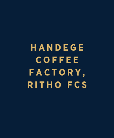 Handege Coffee Factory – Ritho FCS