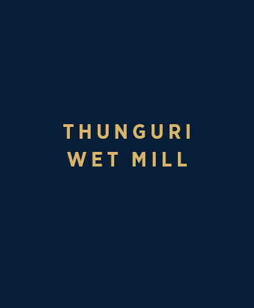 Thunguri Wet Mill – Kibirigwi FCS