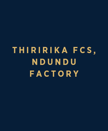 Thiririka F.C.S – Ndundu Factory