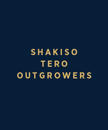 Shakiso Tero Outgrowers